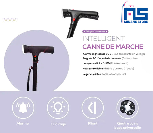 Canne de Marche Pliable avec Double Poignée